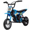 Electric Motorcycle Kids 24 V Kids Motocross with 250W Motor 7Ah Battery Rear Suspension Disc Brake 16km/h 8–12 Years