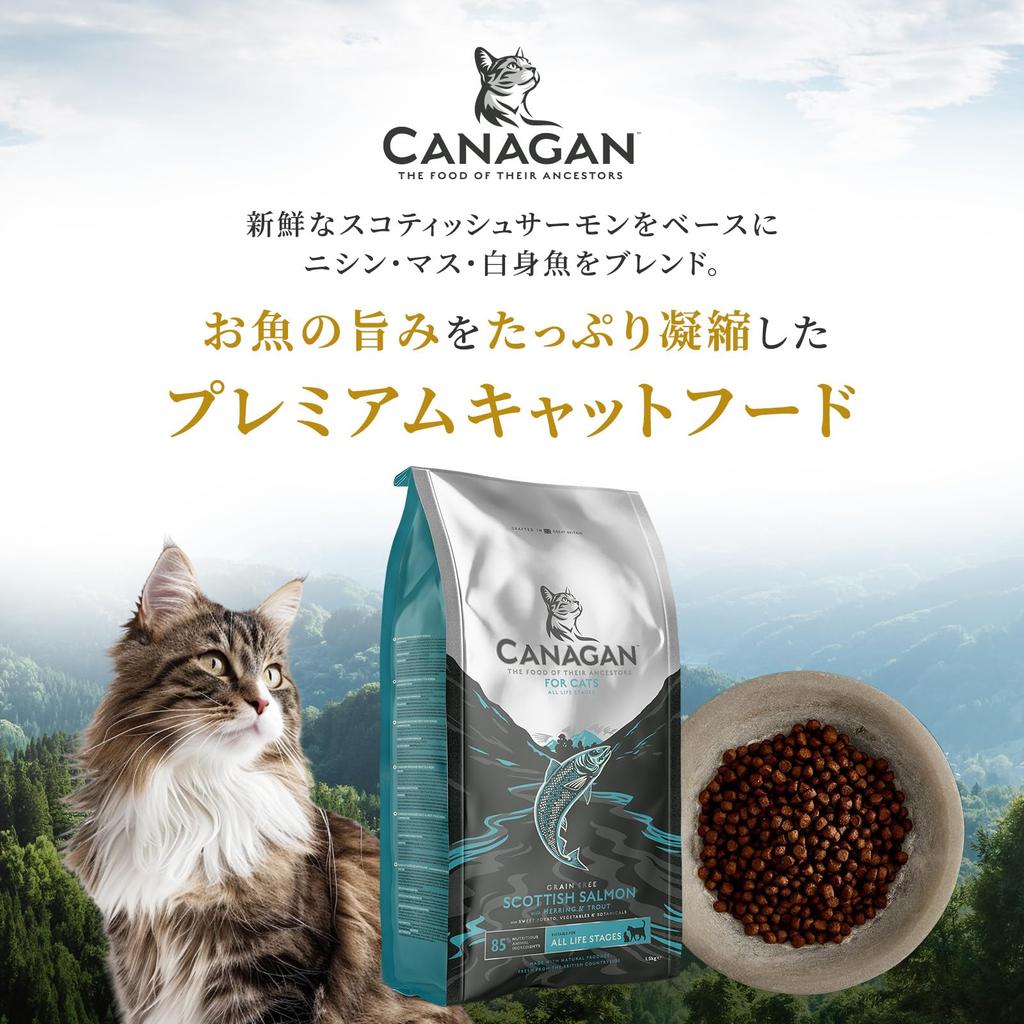 Canagan Salmon Cat Food (1.5kg) Dry Food for All Breeds and Ages [Grain-Free, No Artificial Colors or Flavors]