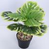 Practical Simulation Leaves Vivid Plastic Flower Reusable