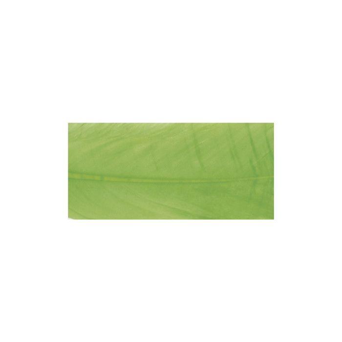Plume d'oie longue Vert tilleul 16/20 cm 8 pièces