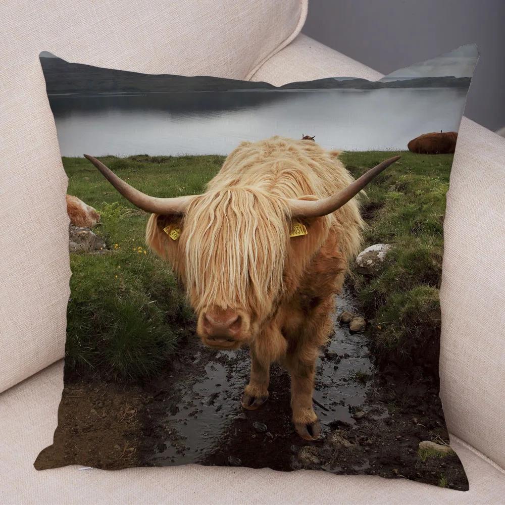 

Scotland Kyloe Pillow Case Decor Wild Cow Colorful Animal Print Pillowcase Soft Short Plush Cushion Cover for Home Sofa 45x45cm 12x12Inch