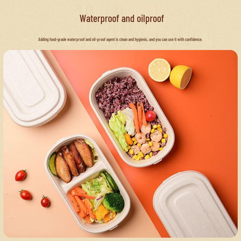 OLOEY 850ml Double Compartment Bagasse Disposable Lunch Boxes with Lids