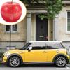 GLEAVI Apple Shape Car Antenna Topper Cute Decoration Fruit Ball Car Roof Universal Car Antenna Topper for Most Vehicles