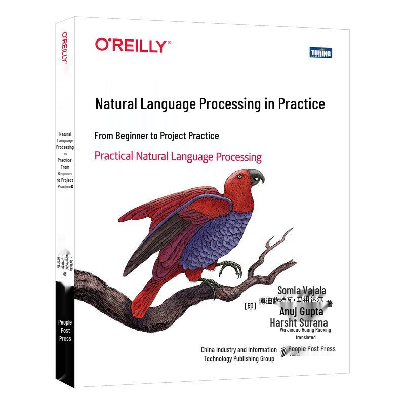 Natural Language Processing Practice: A Deepseek Tutorial