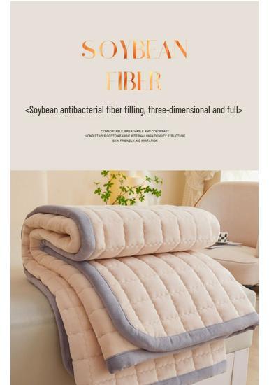 Soft Padded Winter Coral Fleece Mattress Pad with Plush Velvet Quilted Cover