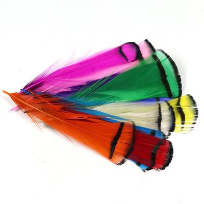 10pcs Lady Amherst Feather Tippet Nymph Wet Streamer Wing Tag Tail Fly Tying Material Salmon Steelhead Fishing Fly Tying