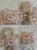 Cute Cute Plush Pig Pullover Hat Children Autumn and Winter Big Head Circumference Ear Protection Warm Face Small Head Hat