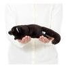 [COLORATA] Colorata Binturong Plush Toy (Nesoberi Series/Gentle Touch) Realistic Animal Toy Doll Gift Present Birthday (Meter Read 2 Times) /