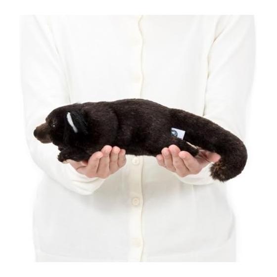 [COLORATA] Colorata Binturong Plush Toy (Nesoberi Series/Gentle Touch) Realistic Animal Toy Doll Gift Present Birthday (Meter Read 2 Times) /