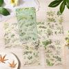 6 Styles  Transparent PET Stickers Scrapbooking Materials DIY Junk Journal Collage Tree Branches and Leaves Decor Stickers