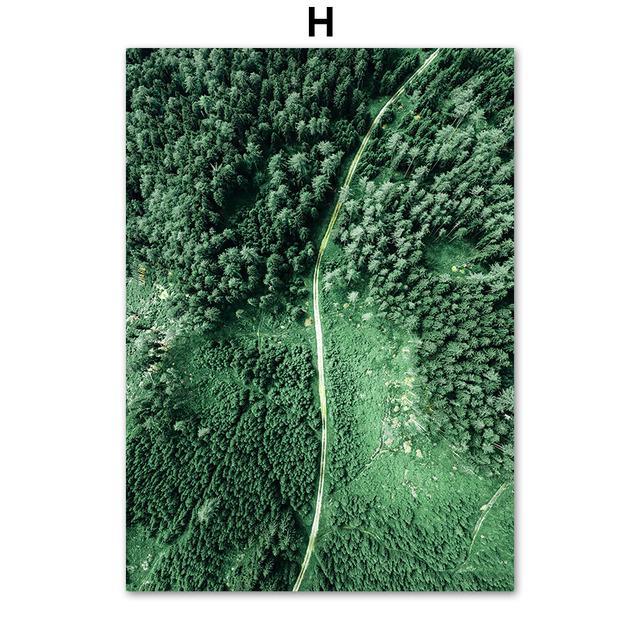 Tiger Deer Wald Berg Gras Kaktus Wand Kunst Leinwand Malerei Nordic Poster Und Drucke Wand Bilder Für Wohnzimmer Dekor