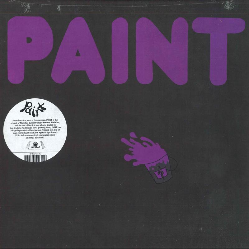 

LP Record PAINT - Paint MEX262 Mexican Summer 2018 US Rock