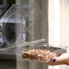 Acrylic Suction Cup Feeding House Birds Hanging Feeder Birdhouse Food Feeding Feeding Cup