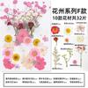 Natural Dried Flowers Pack For Diy Resin Pressed Flower Art