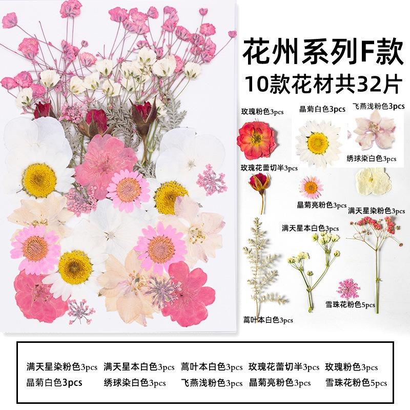 Natural Dried Flowers Pack For Diy Resin Pressed Flower Art