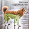 Elastische Hundekleidung, schmutzabweisend für den Ausflug, und haarendschützende Kleidung