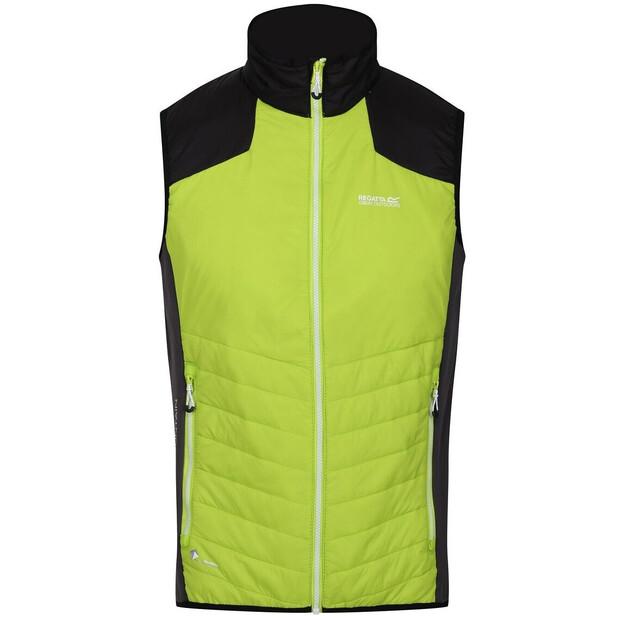 Жилет Regatta Halton Vi Vest