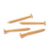 Guitar Reinforcement Board Screw Reinforcement Board Screw Neck Plate Screw Guitar Screw 5 * 45mm Screw