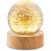 Crystal Dandelion Ball Night Light with Wooden Base USB Powered Dandelion Crystal Ball Night Lamp Fancy 3D LED Night Light Portable Night Lamp