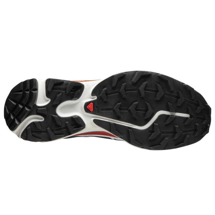 SALOMON S Lab XT 6 Red Dahlia 412533