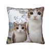 Pillow Case Space Banana Aliens Cat Square  Pillow Cover For Couch Sofa Bedroom Novelty Pillowcases