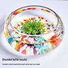 Creative Round Glass Fish Tank for Desktop, Office, or Living Room