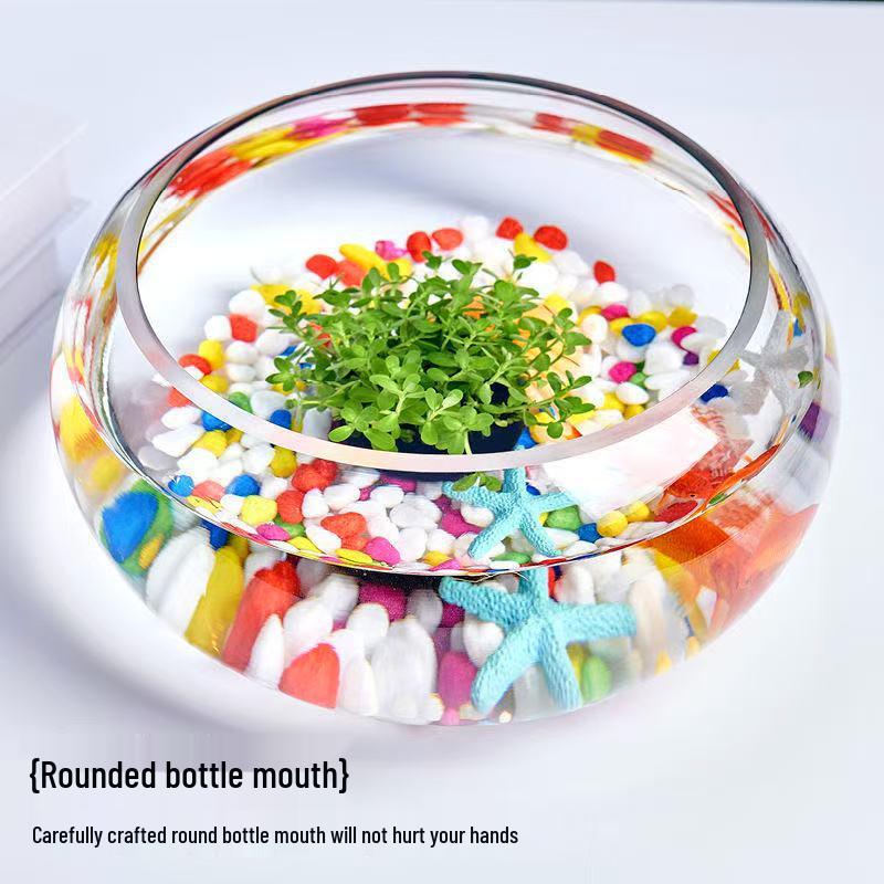 Creative Round Glass Fish Tank for Desktop, Office, or Living Room