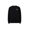 Sweaters Men's Black Crew Neck Moderate Other 6L1MU41MCXZ-0999