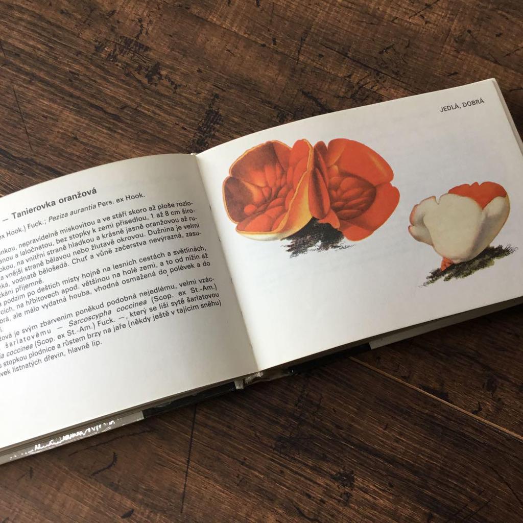 [USED] Foreign books, mushroom encyclopedia, Czech vintage books, junk journal