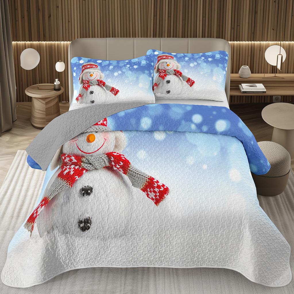 Merry Christmas Coverlet SetLovely Snowman Bedspread Twin Size for Boys Girls Dorm Room Winter Theme Cartoon Style Quilt Set