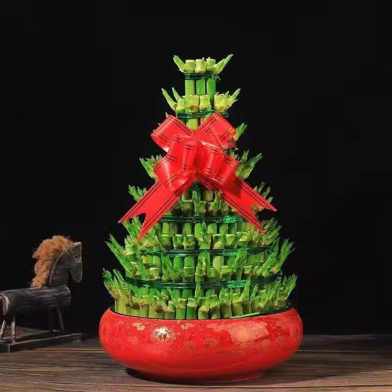 Prosperity Bamboo Tower: Hydroponic Indoor Plant for Wealth and Fortune