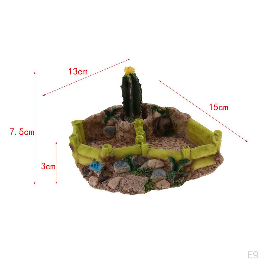 Food Dish Water Bowl Feeder Basin for Amphibians