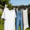24PCS Plastic Drying Sheets Clips Windproof Multi-Purpose Quilt Clips Thicken Non-Slip Socks Fasteners Balcony