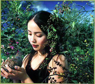 

CD CHITOSE HAJIME - Hanadairo ESCL28289 Epic 2006 Japan Japanese Pop/Rock Used