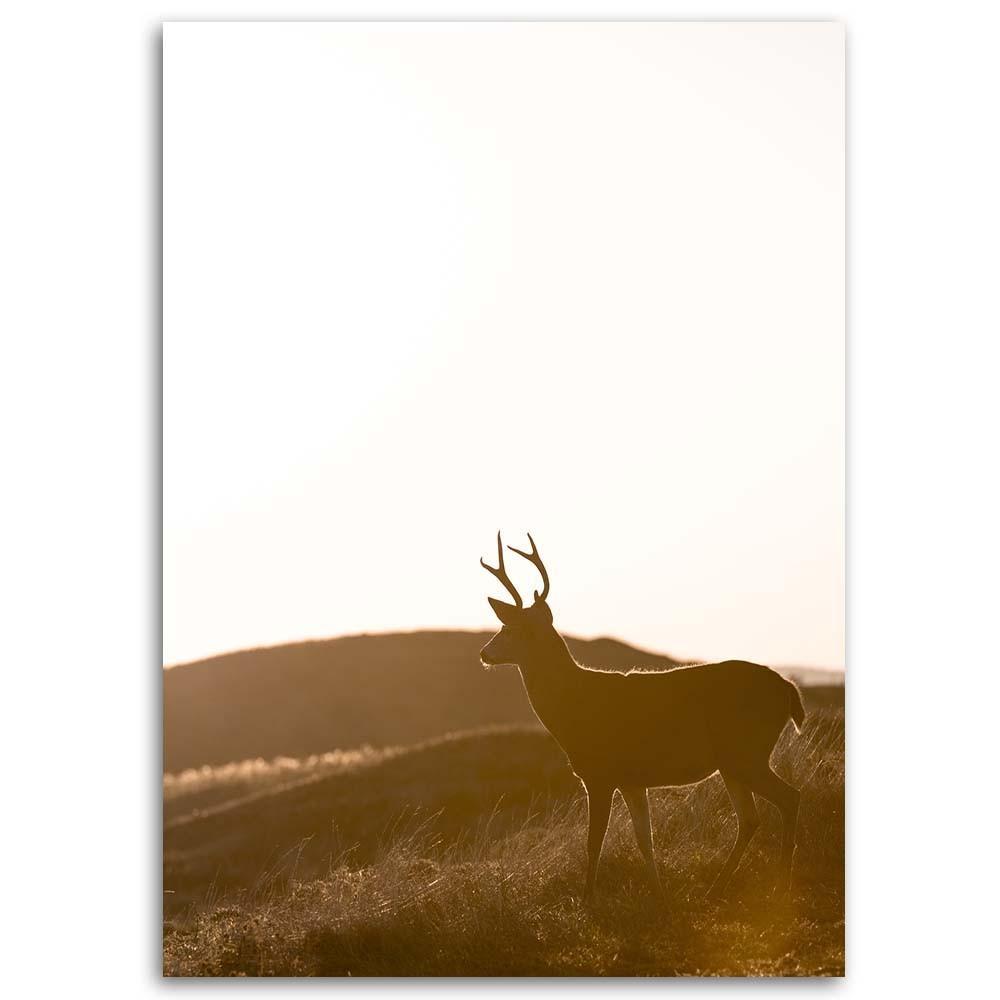 Canvas Print, Young Deer