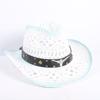 Popular European and American Fashion Hollow Woven Hat Straw Hat Men's and Women's Classic Outdoor Western Denim Straw Hat