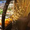 Christmas 20LEDs Willow Branch Lamp Strings Light Wedding Party Tree Decoration