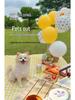 New Foldable Double Dog Bowl: Integrated Design for Outdoor Pet Feeding