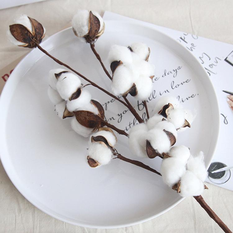 Natural Dried Cotton Flower Branches - 6 or 10 Heads, Preserved Kapok for Home Decoration & Christmas Decor