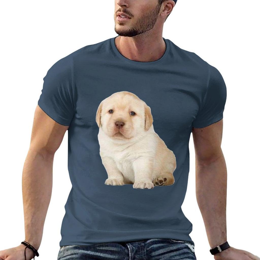 Quieres TShirt Funny T Shirts Dark Humor Unisexs Graphic T Shirts T Shirt Unisex Designer Tshirt