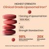 Vlado's Himalayan Organics Chelated Iron Tablets With Vitamin Support For Energy And Daily Wellness 100 Veg Tablets