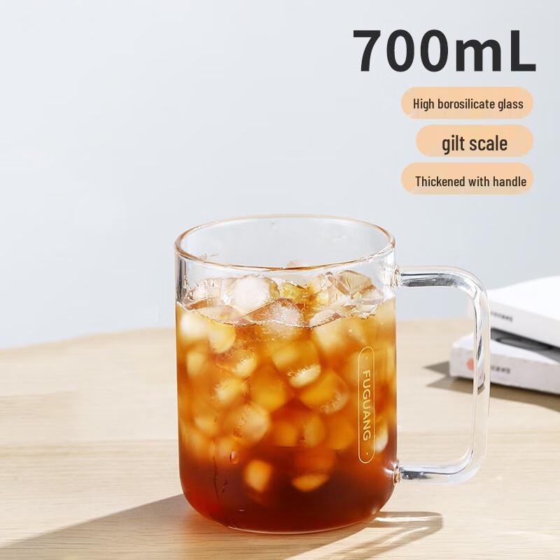 Fuguang High Borosilicate Glass Mug with Handle