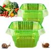 20pcs Vegetable Protector Plant Snail Collar Guard with Hood Protective Gardening Dome Vegetable Protective Cover Slug Collar