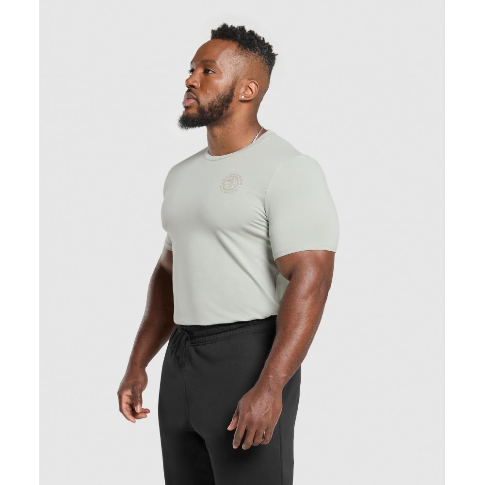 Gymshark Legacy T shirT sTone Grey A5a3b Gb7s