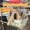 Bird Nest Transparent Wood Bird House with Perch Easy Installation Hanging Bird Nesting Box Bird Cage Accessories