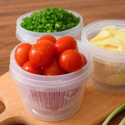 Food Sealed Box Reusable With Lid Plastic Kitchen Fresh Keeping Box Drain Double-layer For Fruit Vegetable Storage Containers