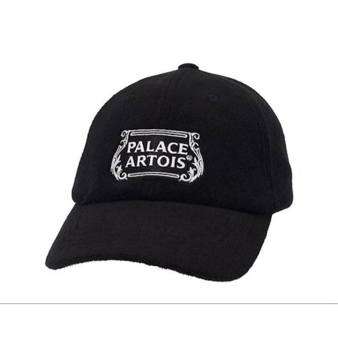 Used palace x artois cap