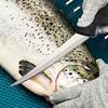 Kitchen Knives Stainless Steel Fillet Boning Knife Fish Killing Knife Multifunctional Fruit Knife Meat Cleaver Utility Knife