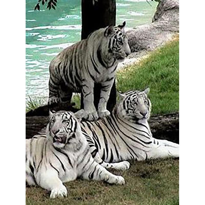 5D Diy Diamond Painting Animal Tiger Diamond Embroidery Full Drill Rhinestones Daimond Painting Mosaics Home Decor Cross Stitch