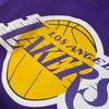 Nike X NBA Collaboration Hoodie Los Angeles Lakers Fleece Simple Comfortable Hooded Kids Hoodies Purple 3Z2B7FFPQ-LAK